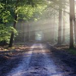 Life and Death: The Journey of the Soul