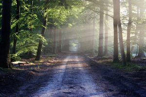 Life and Death: The Journey of the Soul